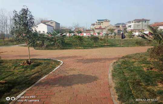 【六村共建看太康网络主题宣传】接花村:乡贤“回归”,助推乡村振兴