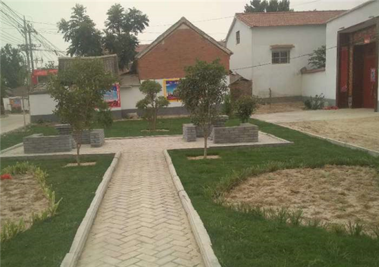 【六村共建看太康网络主题宣传】板桥镇大朱家村:村民开窗见绿,出门进园